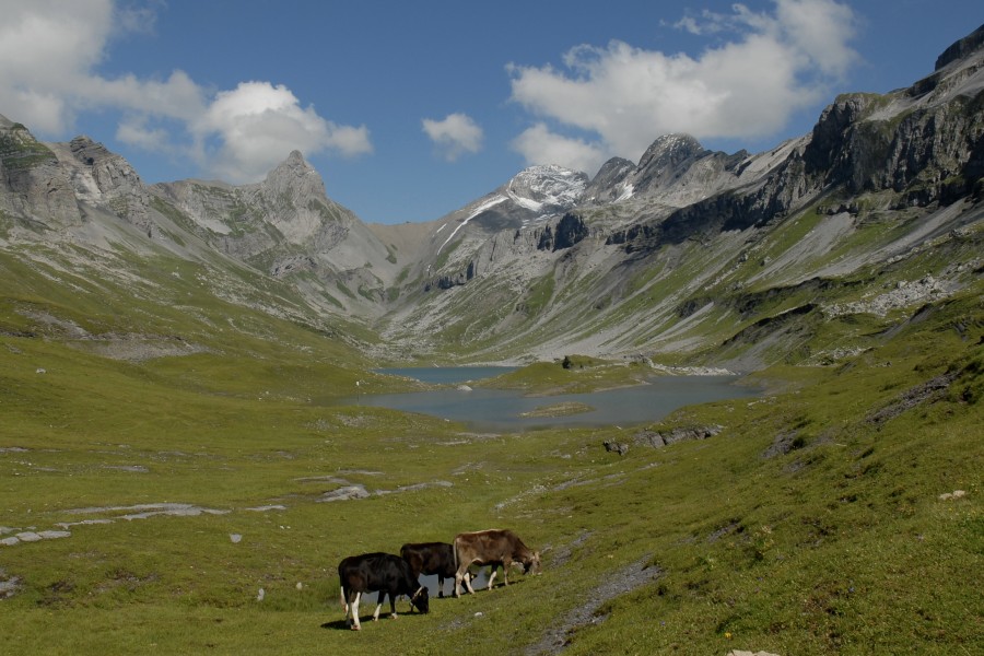 jpg-image