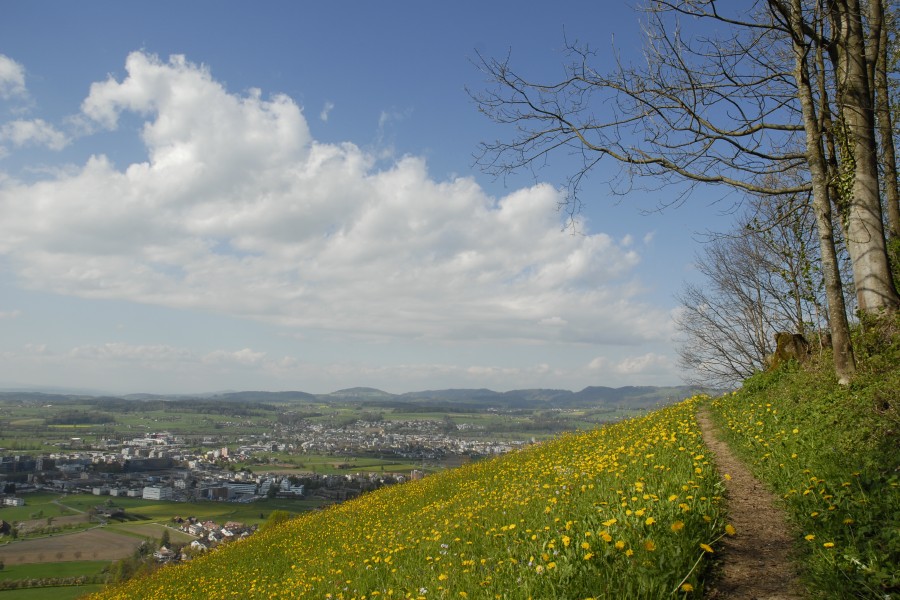 jpg-image