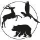 png-image