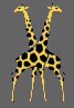 png-image