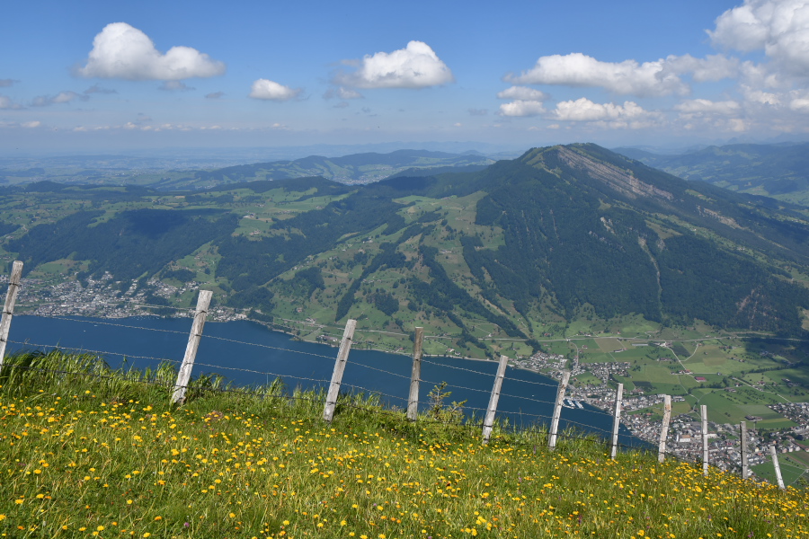 jpg-image