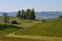 jpg-image