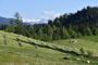 jpg-image