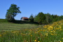 jpg-image