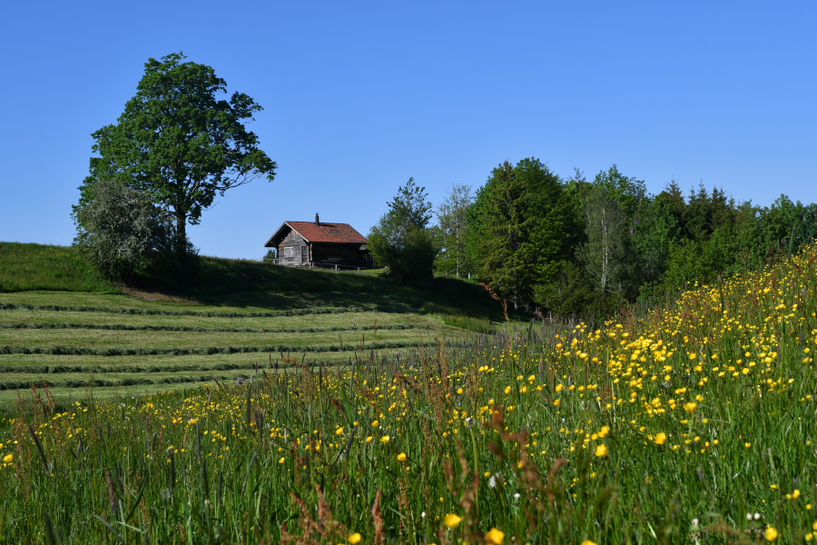 jpg-image